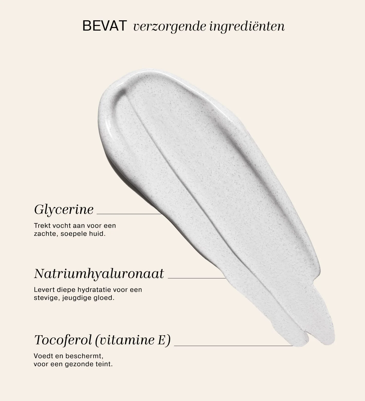 Miniatuur 3